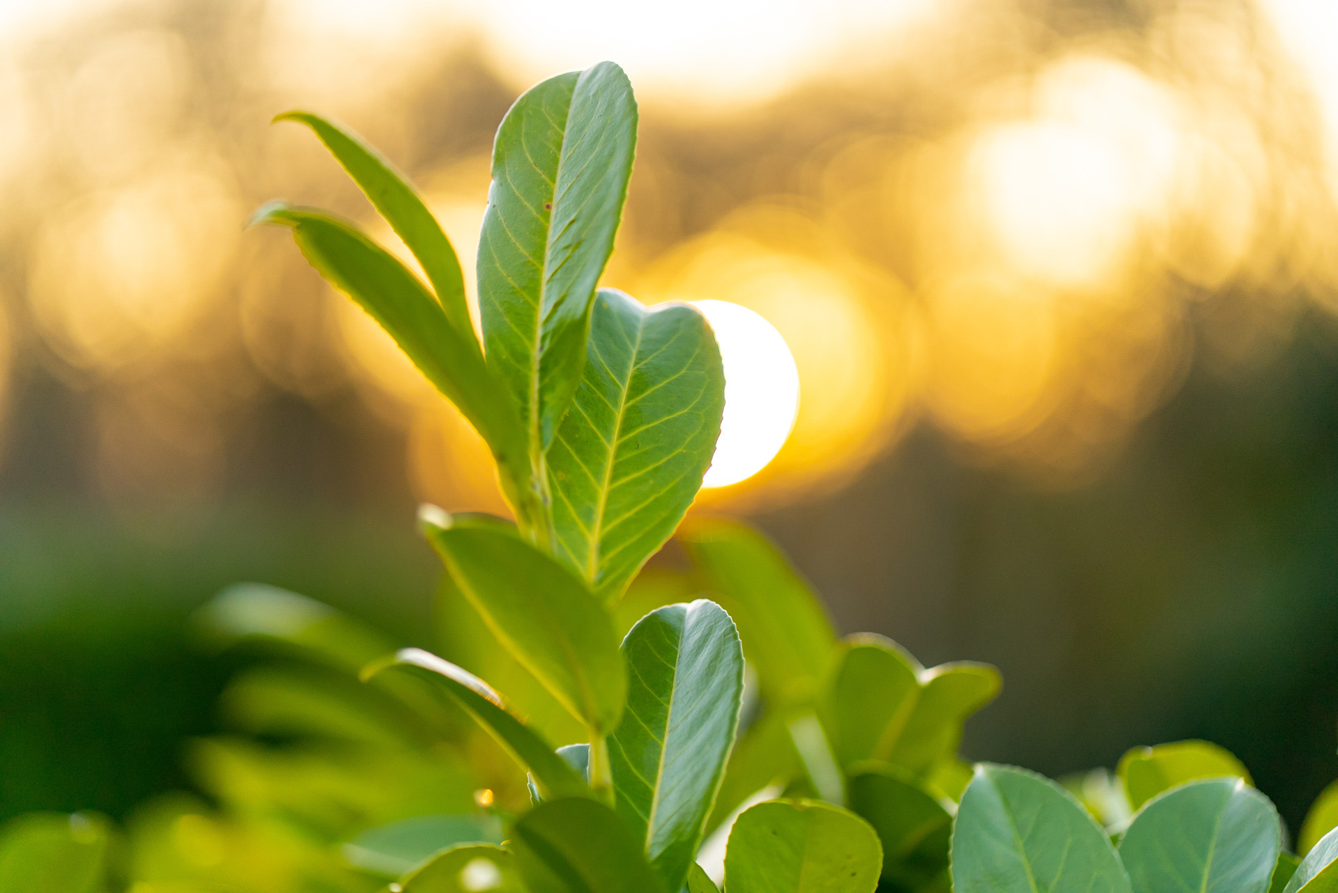 fishing holiday devon tinney waters 25