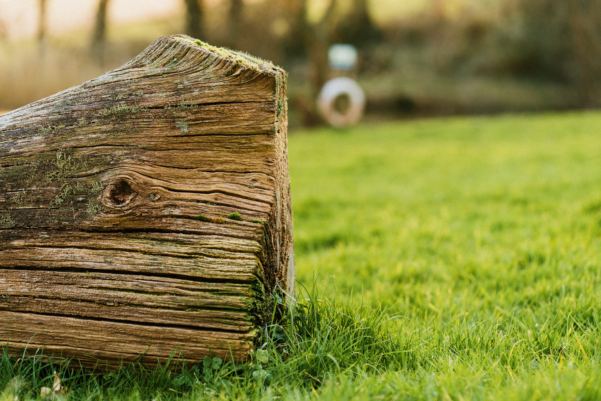 fishing holiday devon tinney waters 27