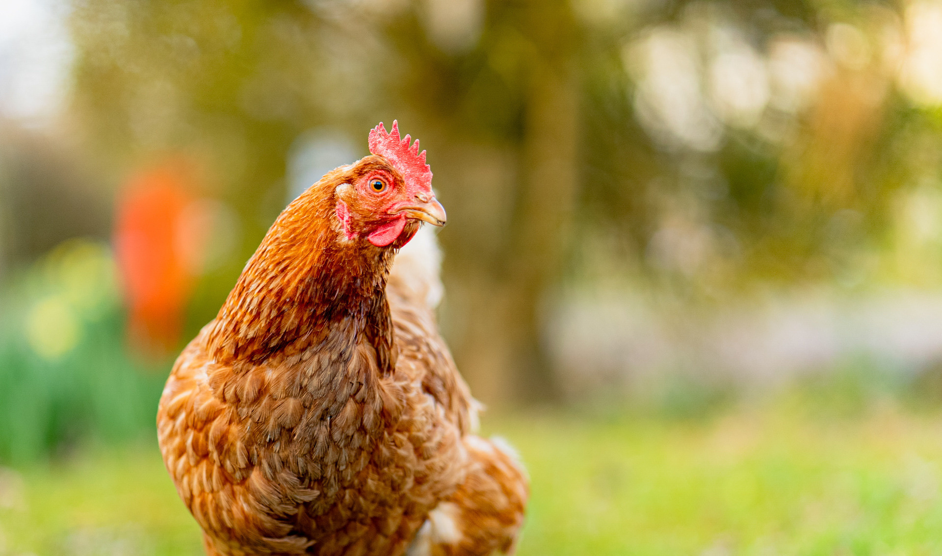 fishing holiday devon tinney waters 4