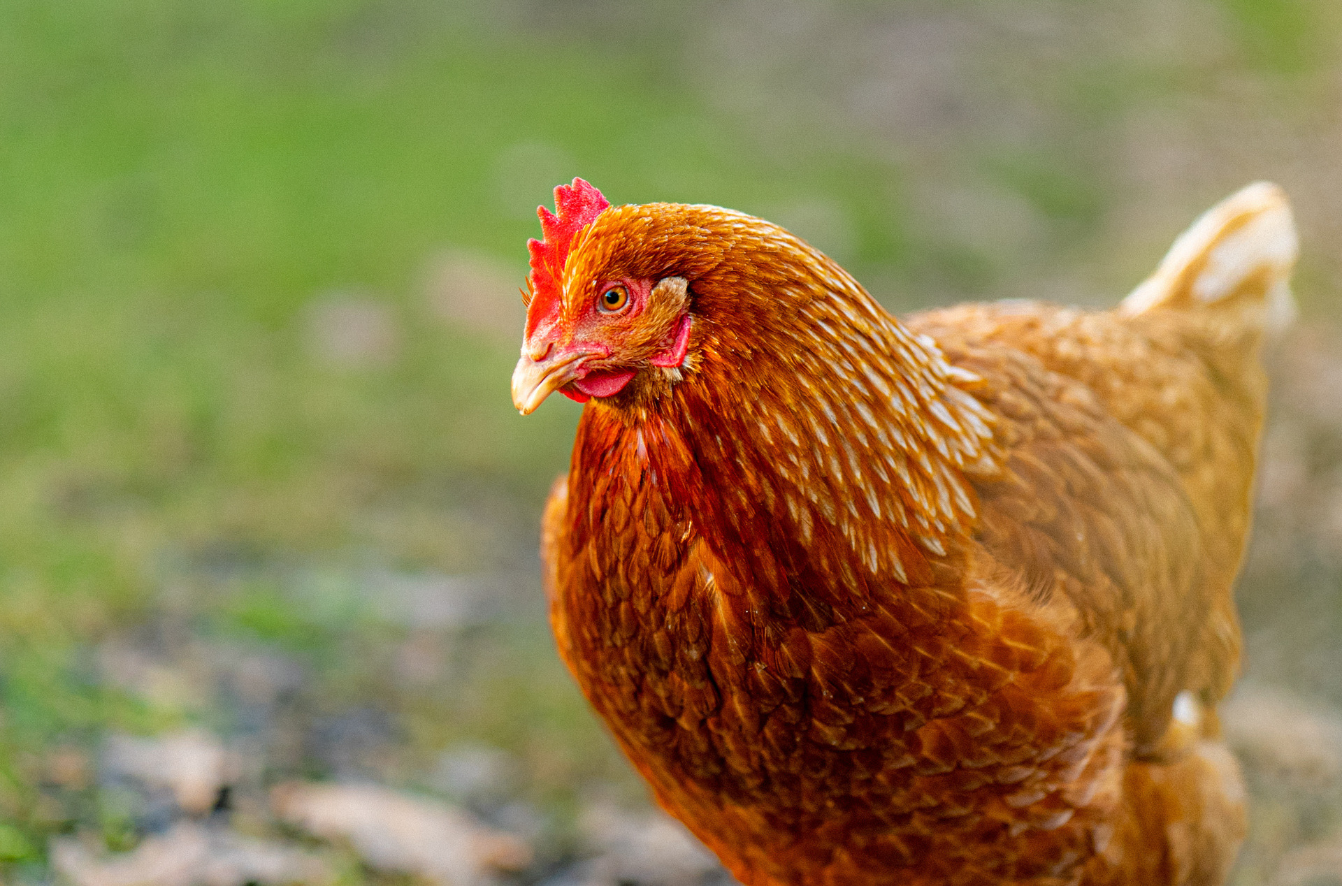 fishing holiday devon tinney waters 5