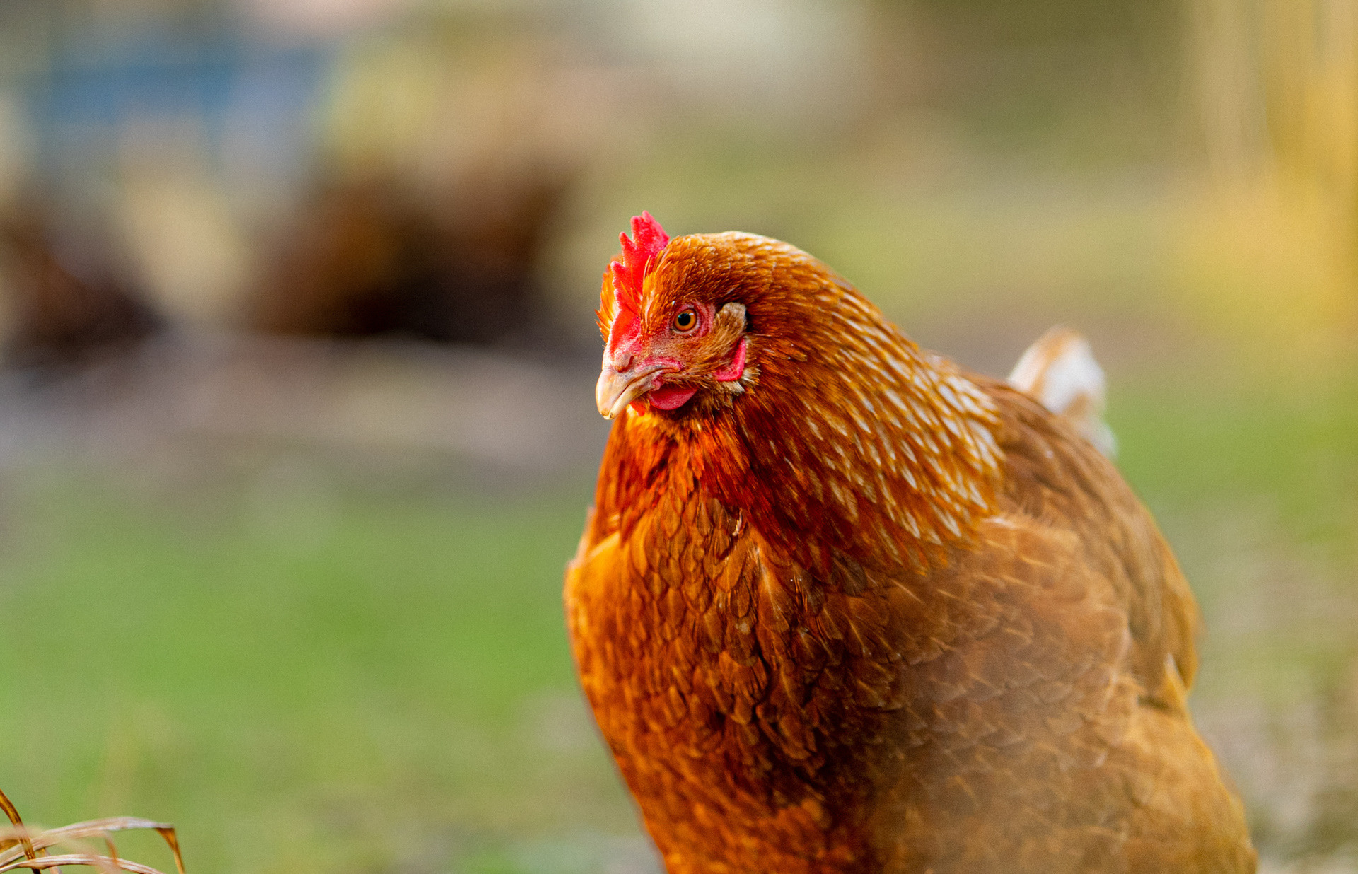 fishing holiday devon tinney waters 6